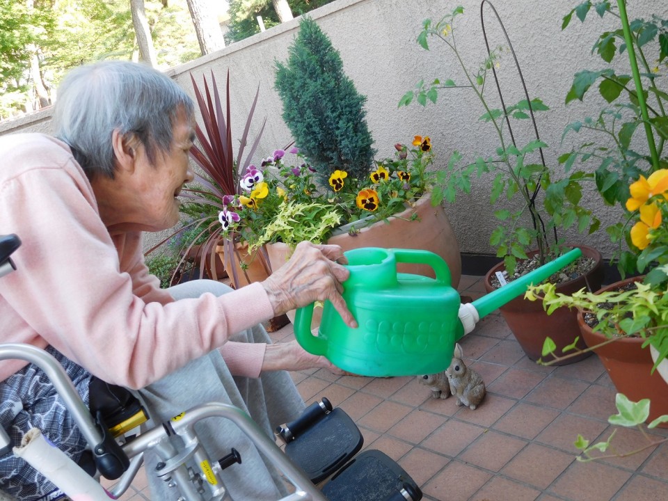 梅雨のお楽しみ♪