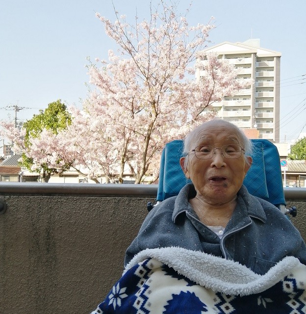 お花見…気分🌸